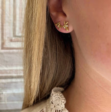 Load image into Gallery viewer, Fig Earrings