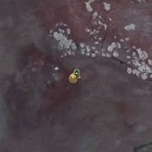 Load image into Gallery viewer, Tropic Stud with snail
