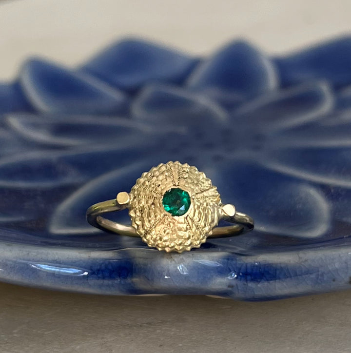 Sea Urchin Shell Rin